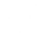 Born 2 Dominate