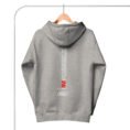 unisex-premium-hoodie-carbon-grey-back-67f8e28db811a.jpg