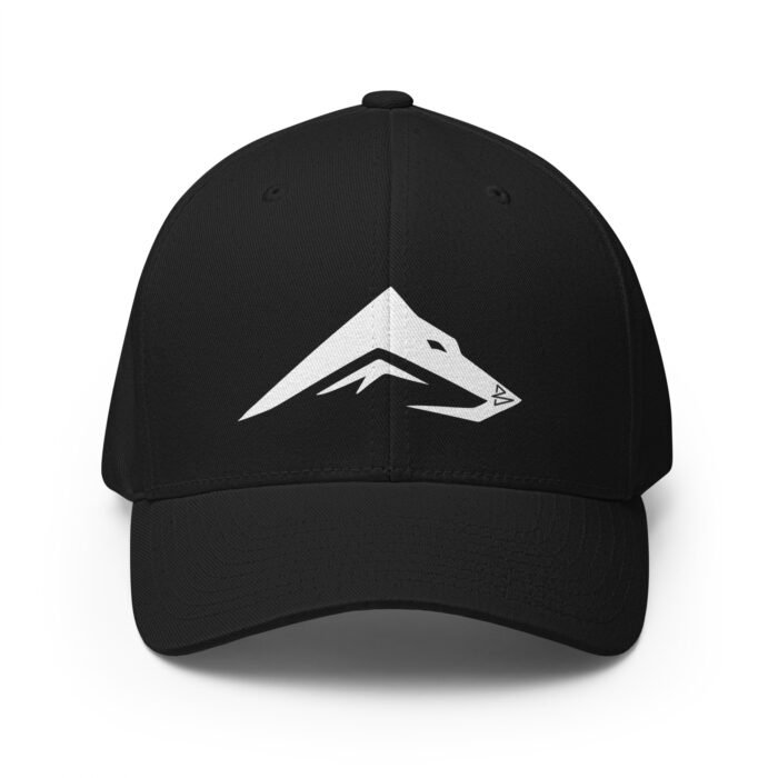 B2D Cap - Image 11