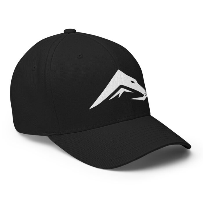 B2D Cap - Image 15