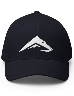 B2D Cap