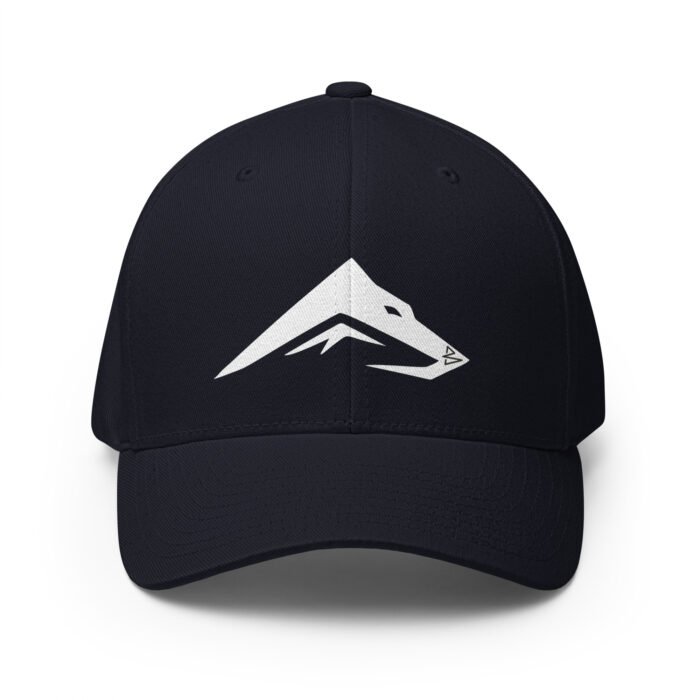 B2D Cap