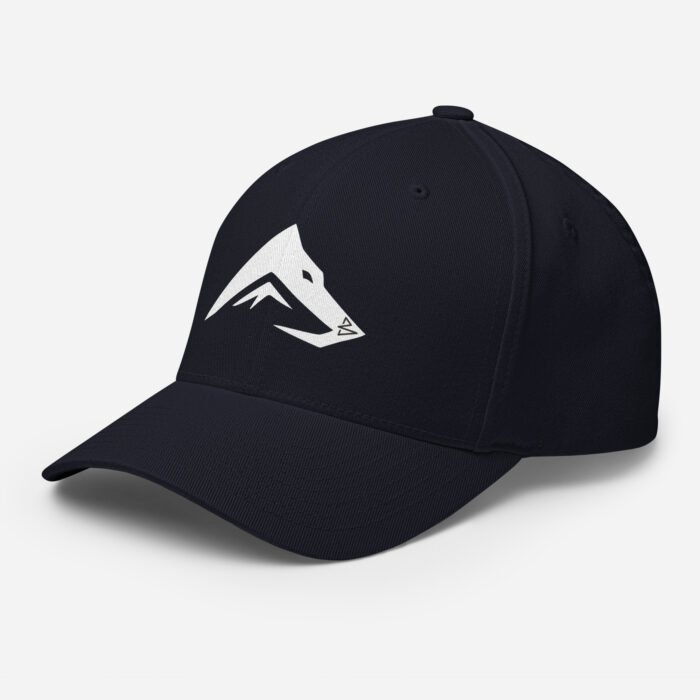 B2D Cap - Image 3