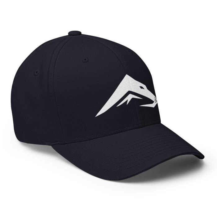 B2D Cap - Image 9