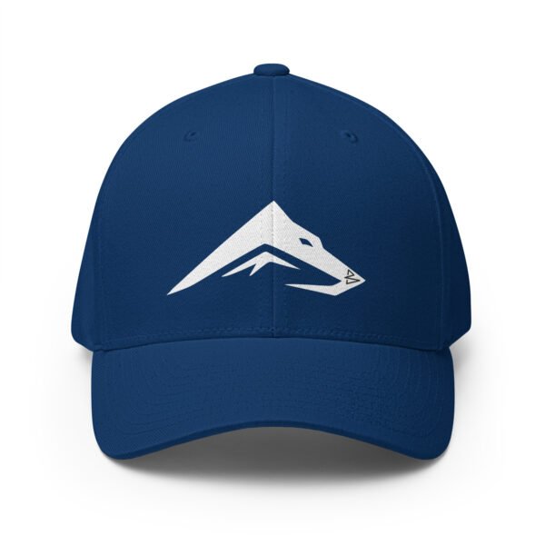 closed-back-structured-cap-royal-blue-front-6840fd4557b2f.jpg