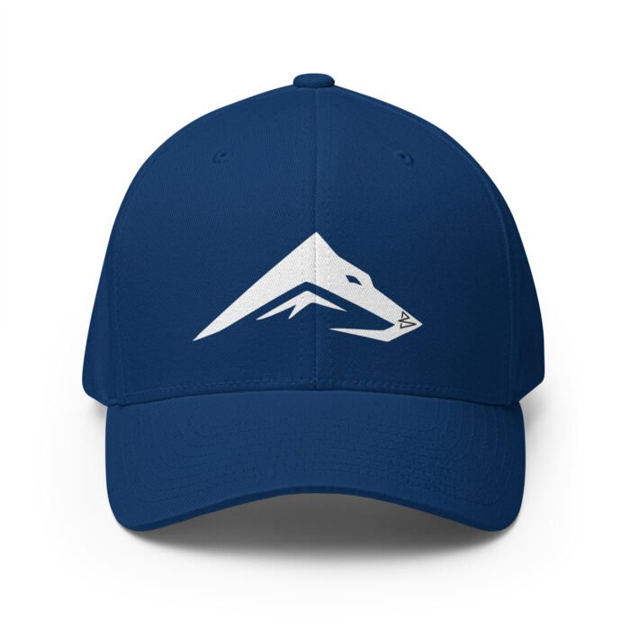 B2D Cap - Image 17