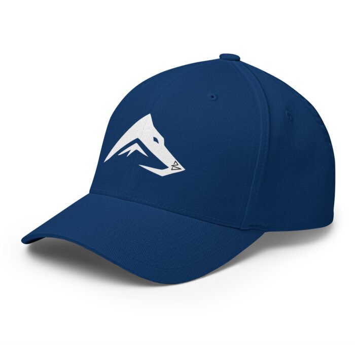 B2D Cap - Image 19