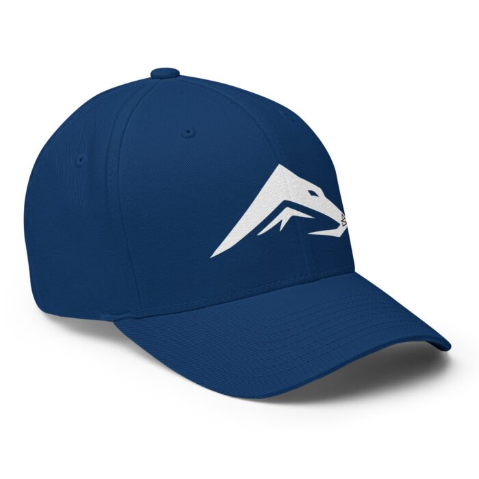 B2D Cap - Image 21