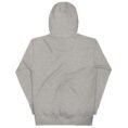 unisex-premium-hoodie-carbon-grey-back-684ed534ae015.jpg