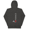 unisex-premium-hoodie-charcoal-heather-back-684ece9b9c8ad.jpg