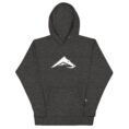 unisex-premium-hoodie-charcoal-heather-front-684ece9b9a28b.jpg